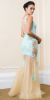 Exquisite Floral Lace Tulle Skirt Long Prom Pageant Dress back